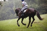 _MG_4636