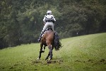 _MG_4681