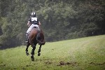 _MG_4719