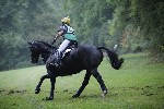 _MG_4733