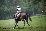 _MG_4741