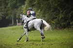 _MG_4798