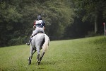 _MG_4800