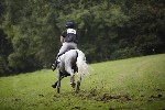 _MG_4823