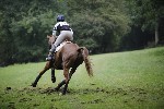 _MG_4860