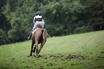 _MG_4861