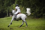 _MG_4881