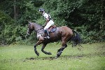 _MG_4904
