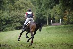 _MG_4914