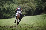 _MG_4915