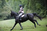 _MG_4939