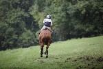_MG_4956