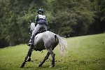 _MG_4979