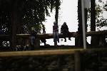 _MG_4981