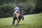 _MG_4995
