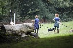 _MG_4998