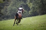 _MG_5009
