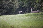 _MG_5084