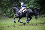 _MG_5231