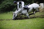 _MG_5240