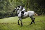 _MG_5244