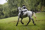 _MG_5245