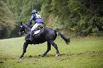 _MG_5254
