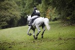 _MG_5290