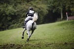_MG_5291