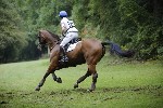 _MG_5325