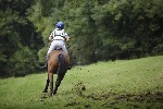 _MG_5328