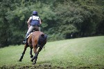 _MG_5336