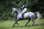 _MG_5341