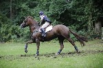 _MG_5349