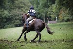 _MG_5350