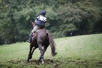 _MG_5351
