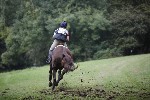 _MG_5352