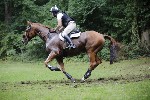 _MG_5357