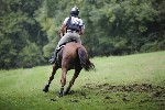 _MG_5360