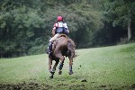 _MG_5368