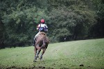 _MG_5369