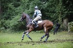_MG_5374