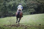 _MG_5377