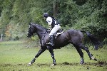 _MG_5412