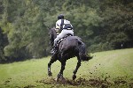 _MG_5414