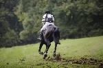 _MG_5415