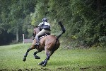 _MG_5423
