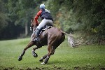 _MG_5430
