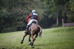 _MG_5431