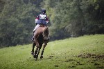 _MG_5441